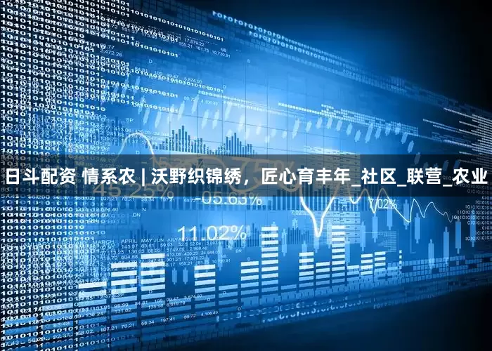 日斗配资 情系农 | 沃野织锦绣，匠心育丰年_社区_联营_农业