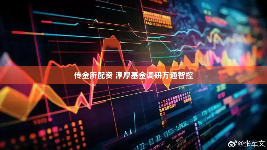 传金所配资 淳厚基金调研万通智控