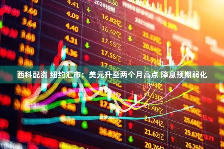 西科配资 纽约汇市：美元升至两个月高点 降息预期弱化