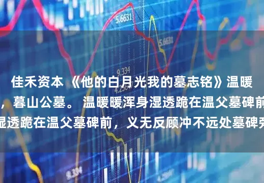 佳禾资本 《他的白月光我的墓志铭》温暖暖傅书桓 清明大雨，暮山公墓。 温暖暖浑身湿透跪在温父墓碑前，义无反顾冲不远处墓碑旁的男